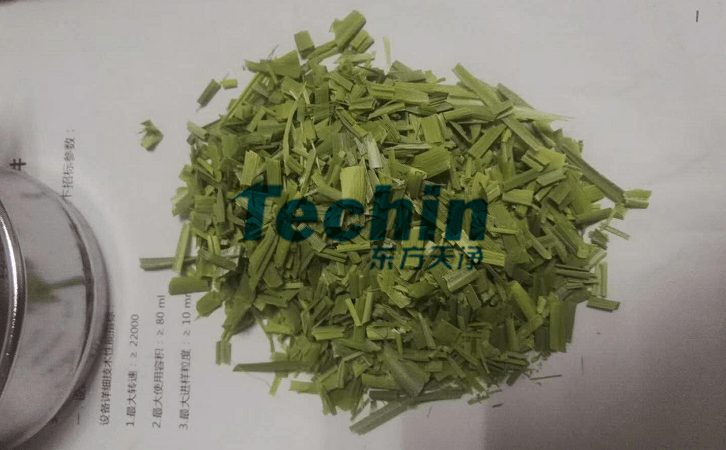 水稻叶子午夜激情视频网站前