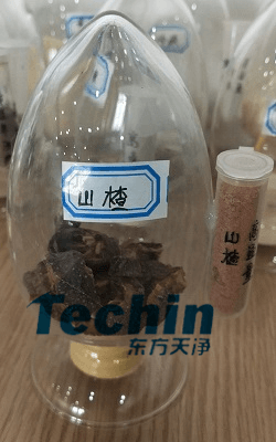 山楂午夜激情视频网站前后