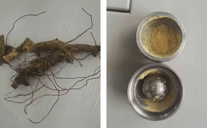 穿山龍午夜激情视频网站前後