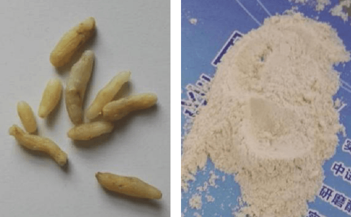 麥冬午夜激情视频网站前後