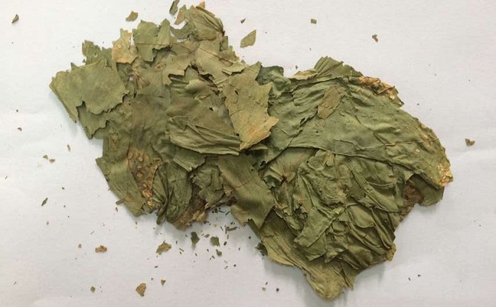 棉花叶午夜激情视频网站